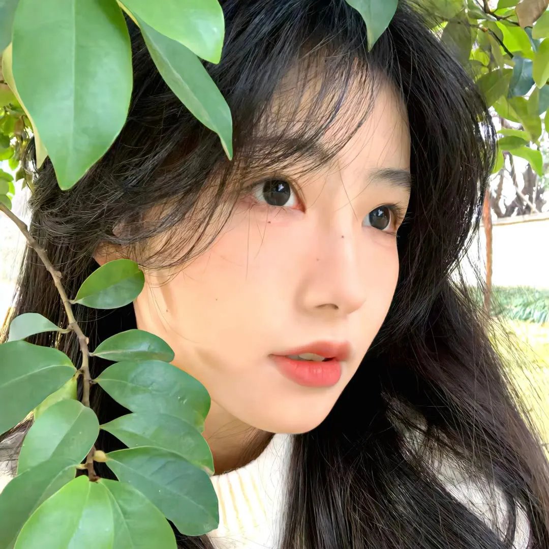 时钟机关之星